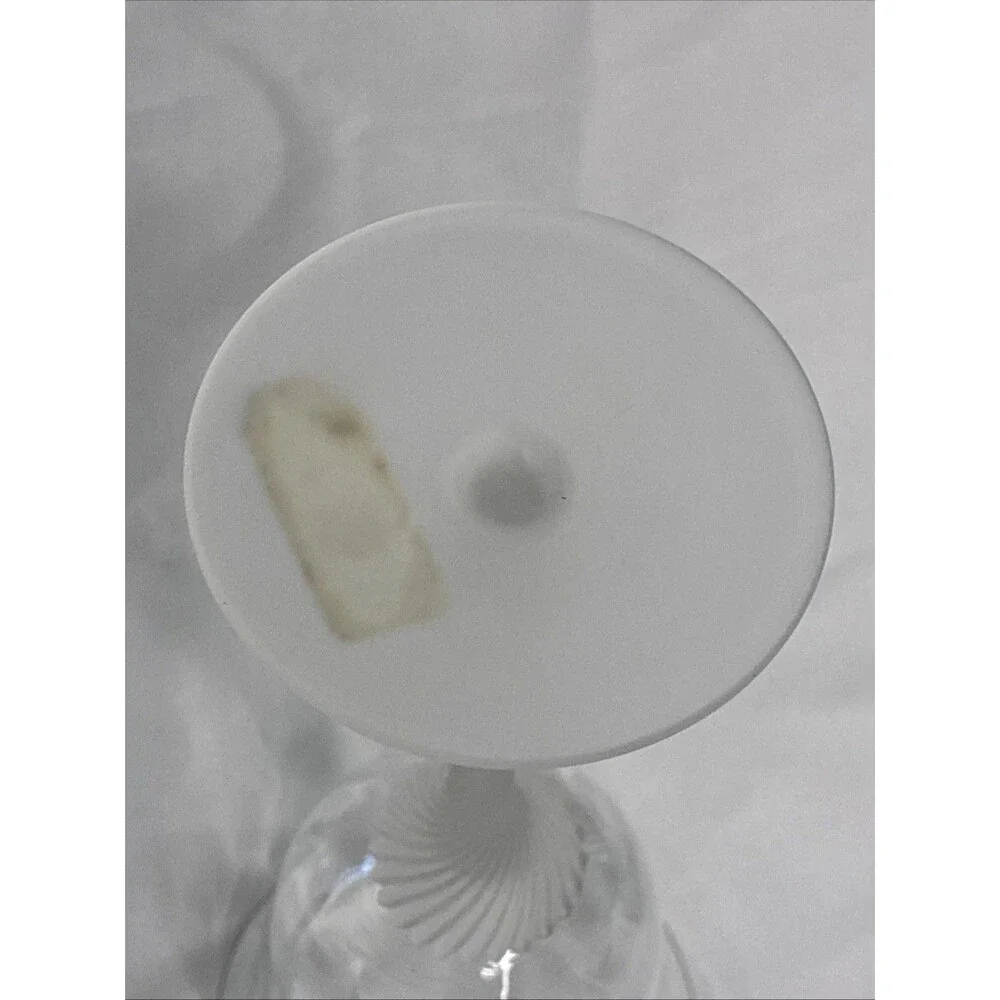 Crystal Clear Studios Valerie 4 Wine Glasses & Stopper Optic Swirl Frosted 1990s